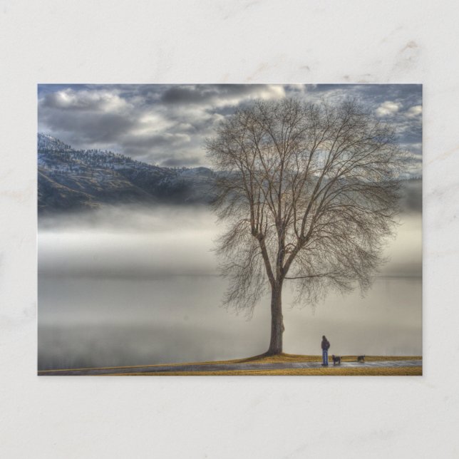 Cartão Postal Osoyoos que anda o cão (Frente)