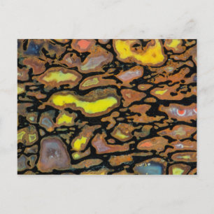 Cartão Postal Osso de Dinossauro Multicolorido