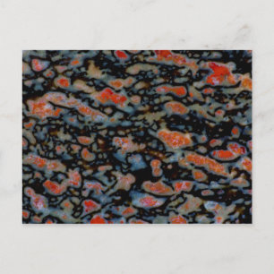 Cartão Postal Osso de Dinossauro Petrificado Colorido