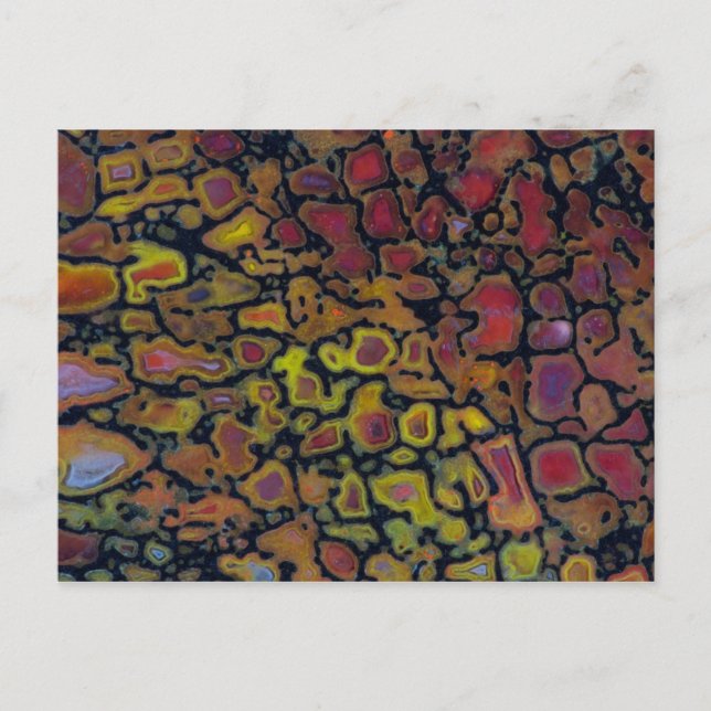 Cartão Postal Osso do Dinossauro Petrificado (Frente)