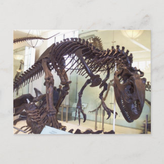 Cartão Postal Ossos