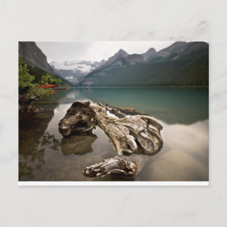 Cartão Postal Ossos do Dragão