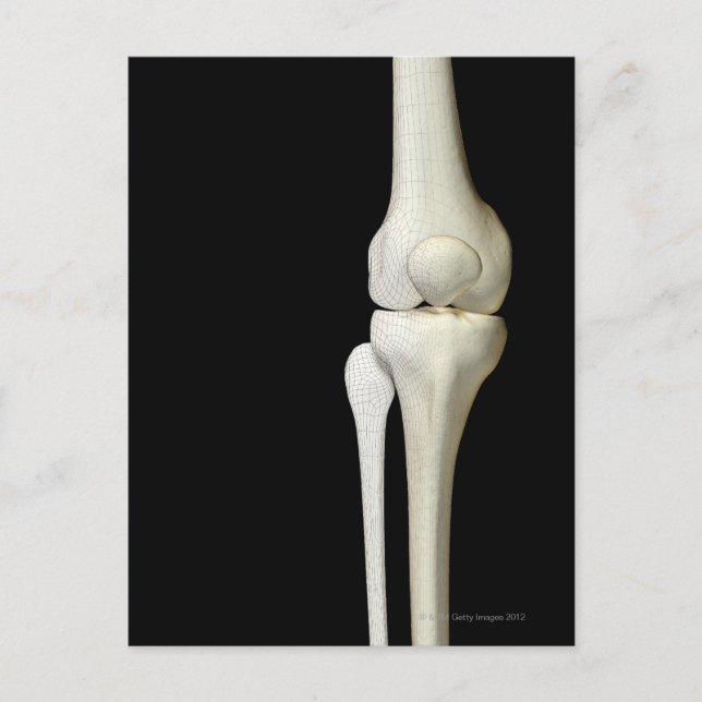 Cartão Postal Ossos do joelho 4 (Frente)