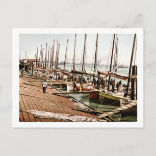 Cartão Postal Ostra Smacks no Levee New Orleans 1900