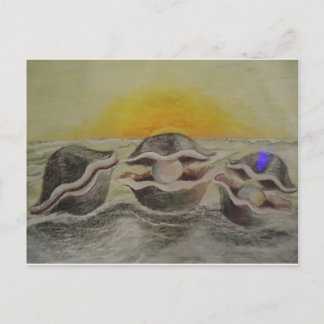 Cartão Postal Ostras e Pérolas