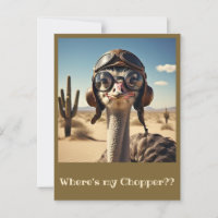 "OSTRICH AVIATOR"