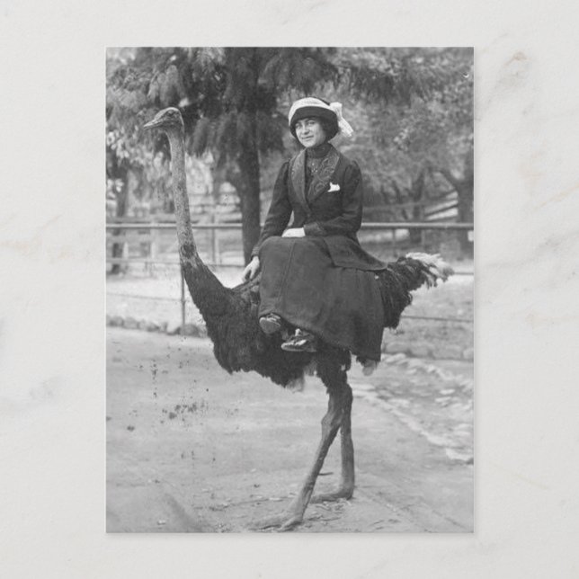 Cartão Postal Ostrich da Mulher Estranha Victoriana a Andar (Frente)