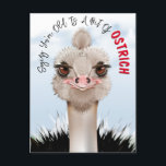 Cartão Postal Ostrich Pun Funny Birthday<br><div class="desc">Os Ostrich Puns São Muito Divertidos.</div>