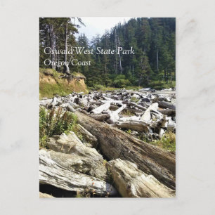 Cartão Postal Oswald West State Park, Costa do Oregon