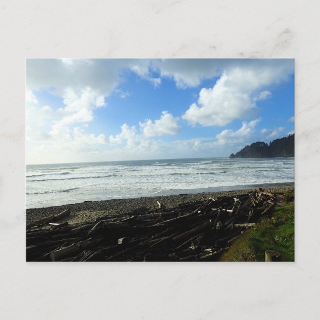 Cartão Postal Oswald West State Park, Costa do Oregon (Frente)