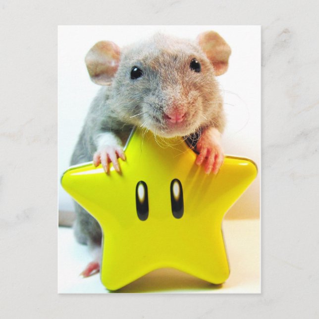 Cartão Postal Ótima Estrela (Frente)