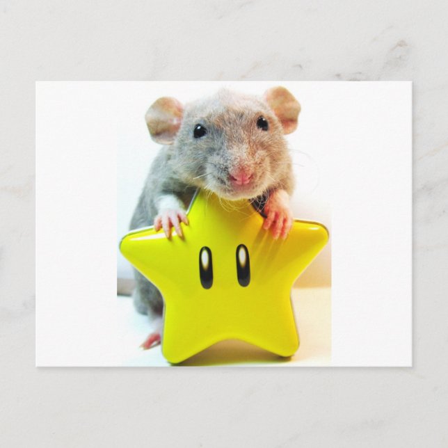 Cartão Postal Ótima Estrela (Frente)