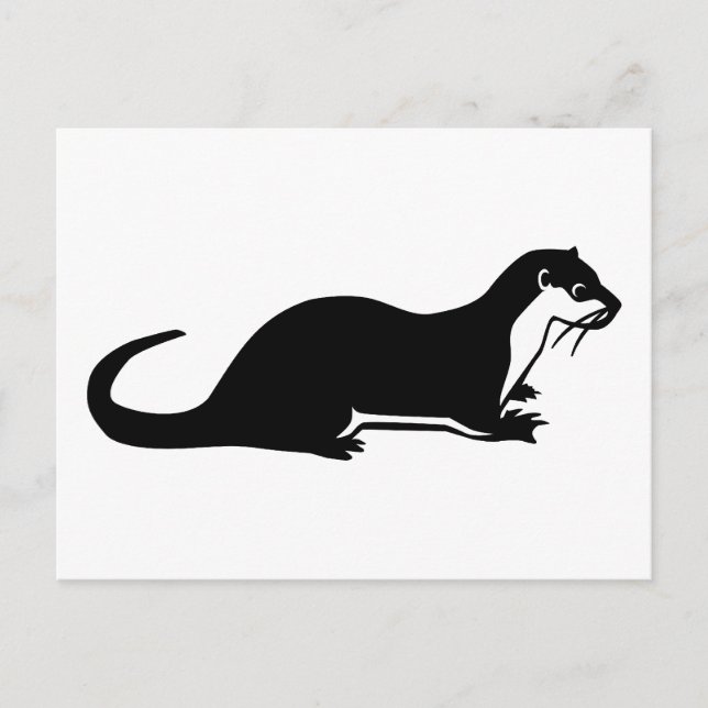 Cartão Postal Otter (Frente)