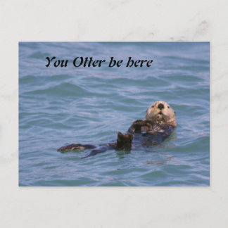 Cartão Postal Otter está aqui