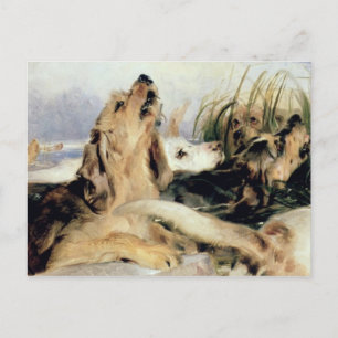 Cartão Postal Otter Hounds