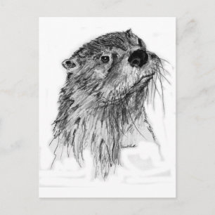 Cartão Postal Otter Whiskers