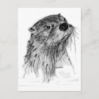 Cartão Postal Otter Whiskers
