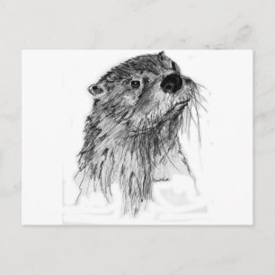 Cartão Postal Otter Whiskers