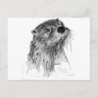 Cartão Postal Otter Whiskers