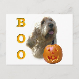 Cartão Postal Otterhound Boo