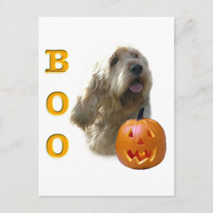 Cartão Postal Otterhound Halloween BOO