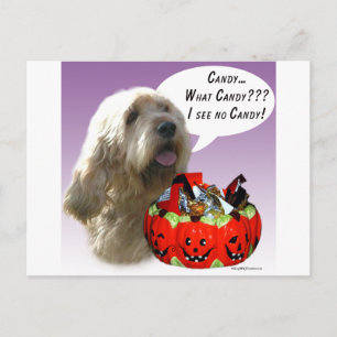 Cartão Postal Otterhound Halloween Candy
