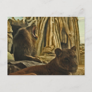 Cartão Postal Ouça-me Rugir!