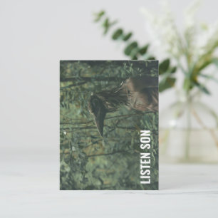 Cartão Postal Ouça Son Forest Birdman