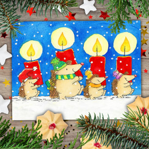 Cartão Postal Ouriços de Velas de Natal