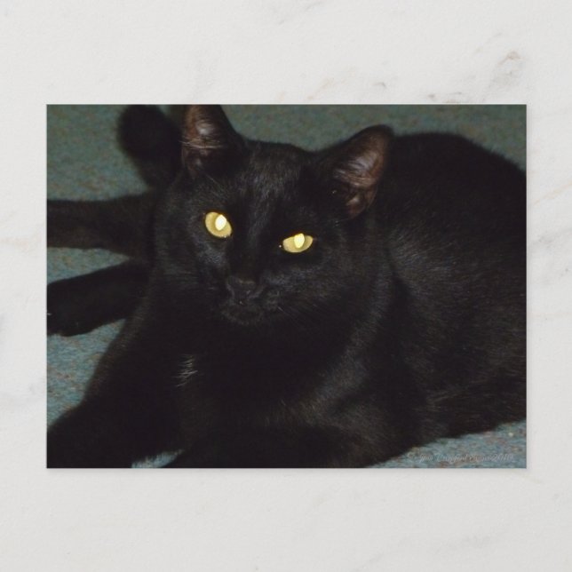 Cartão Postal Ouro (Frente)