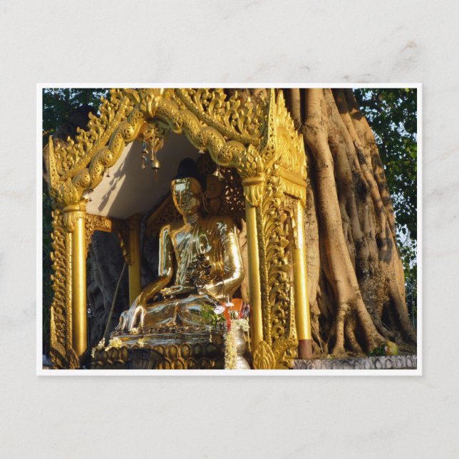 Cartão Postal ouro estúpido buda (Frente)