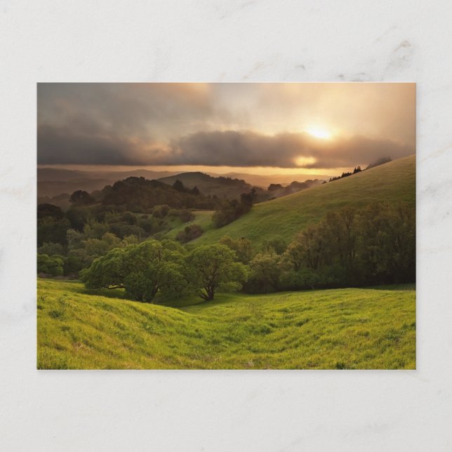 Cartão Postal Ouro Foggy Sunset, Califórnia (Frente)