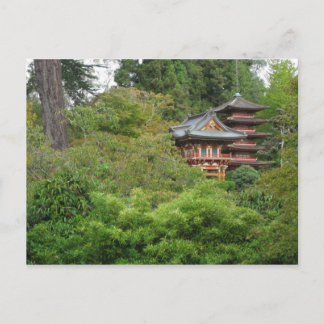 Cartão Postal Ouro Gate Park São Francisco