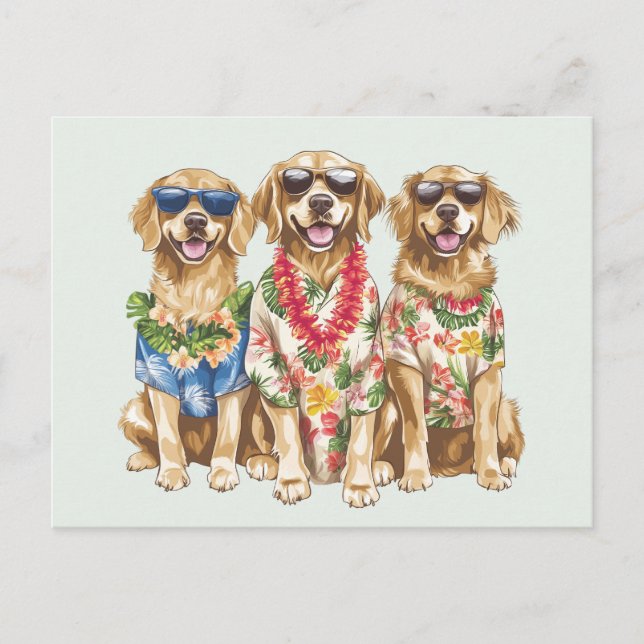 Cartão Postal Ouro Havaiano - Cães de Retriever - Flor Lei (Frente)