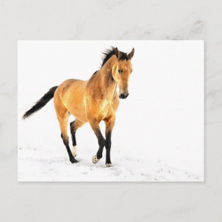 Cartão Postal Ouro na neve