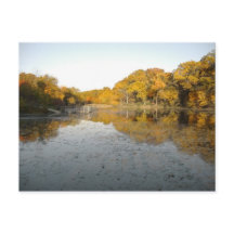 Ouro Pond Peoria Charter Oak Park North Lake