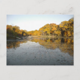 Cartão Postal Ouro Pond Peoria Charter Oak Park North Lake