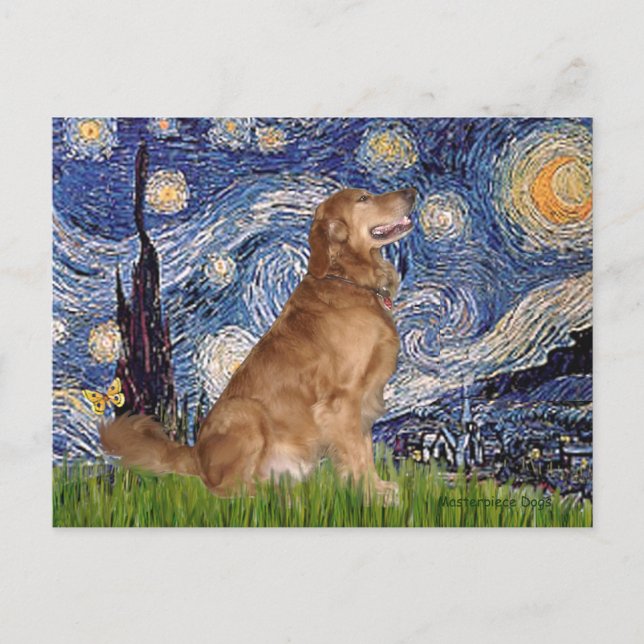 Cartão Postal Ouro Retriever 3 - Noite estelar (Frente)