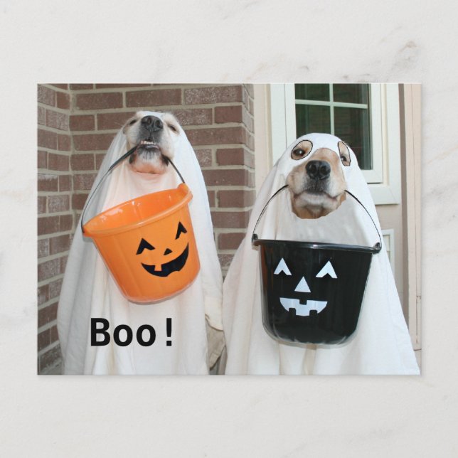 Cartão Postal Ouro Retriever Halloween Ghosts (Frente)
