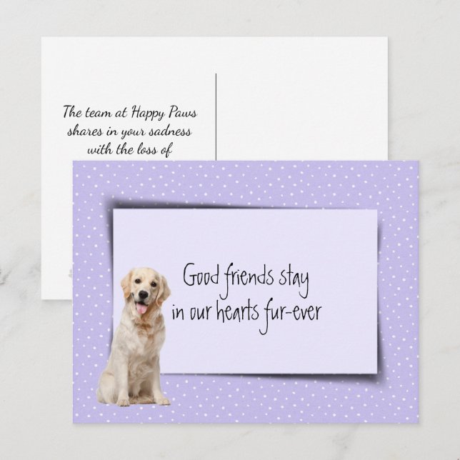 Cartão Postal Ouro Retriever Pet Perda Do Veterinário (Frente/Verso)