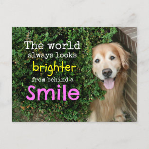 Cartão Postal Ouro Retriever Por Trás De Um Sorriso