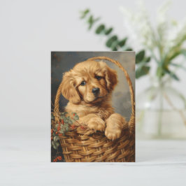 Cartão Postal Ouro Retriever Puppy em um soquete