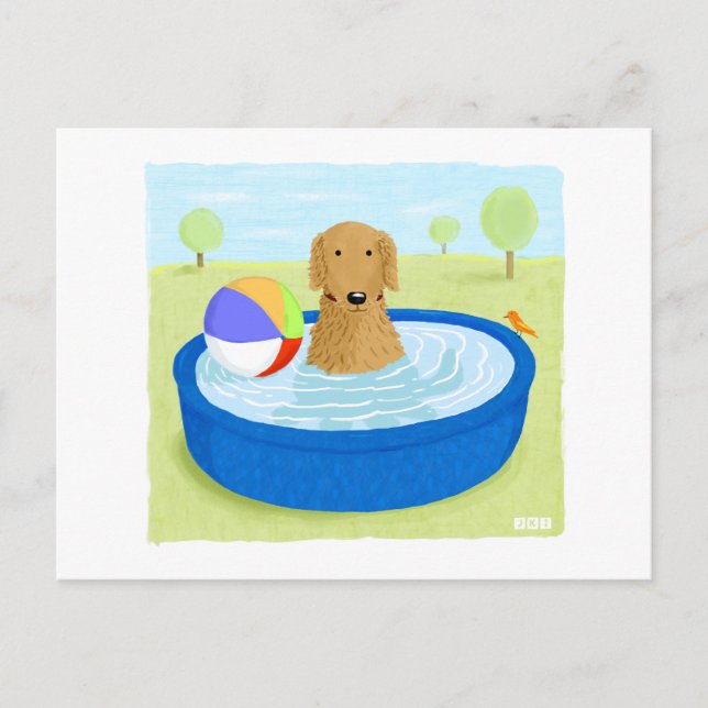 Cartão Postal Ouro Retriever "Summertime" (Frente)