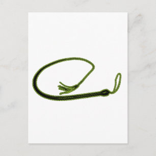 CARTÃO POSTAL OURO WHIP