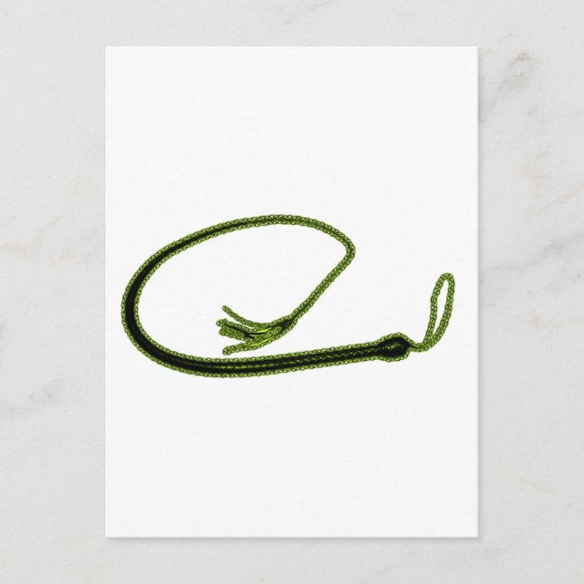 CARTÃO POSTAL OURO WHIP (Frente)