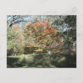 Cartão Postal Outono