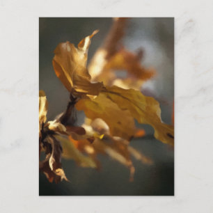 Cartão Postal Outono