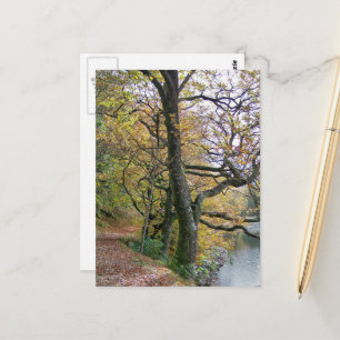 CARTÃO POSTAL OUTONO