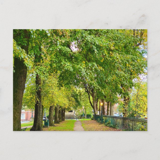 Cartão Postal Outono (Frente)