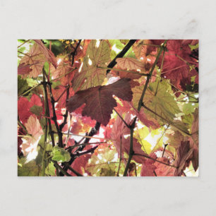 CARTÃO POSTAL OUTONO